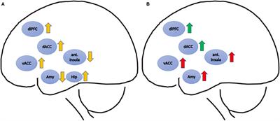 Neural Correlates of Psychotherapeutic Treatment of Post-traumatic Stress Disorder: A Systematic Literature Review